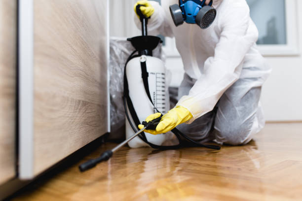 Best Pest Prevention Services  in Sulphur Springs, AR