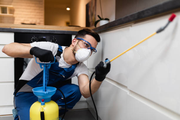 Best Commercial Pest Control Services  in Sulphur Springs, AR