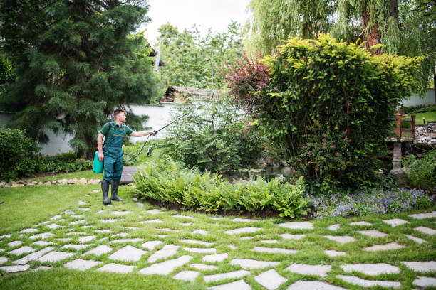 Best Pest Removal Services  in Sulphur Springs, AR