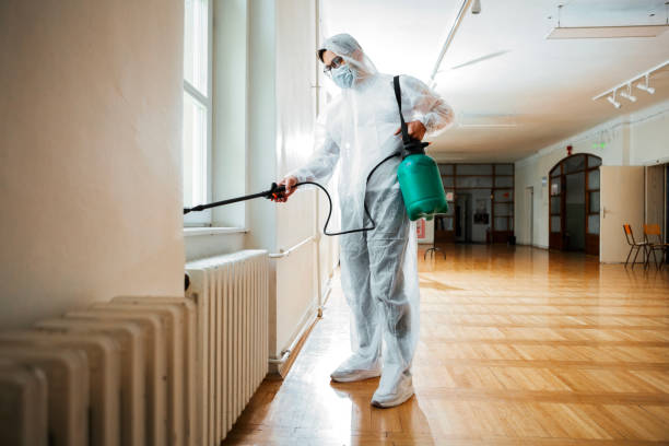 Best Mosquito Control Services  in Sulphur Springs, AR